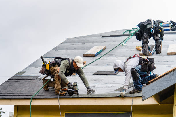 Professional Storm Damage Roof Repair technician working in Saint Pauls, NC
